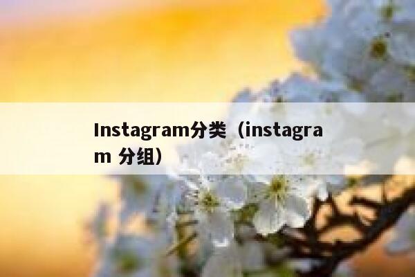 Instagram分类（instagram 分组） 第1张