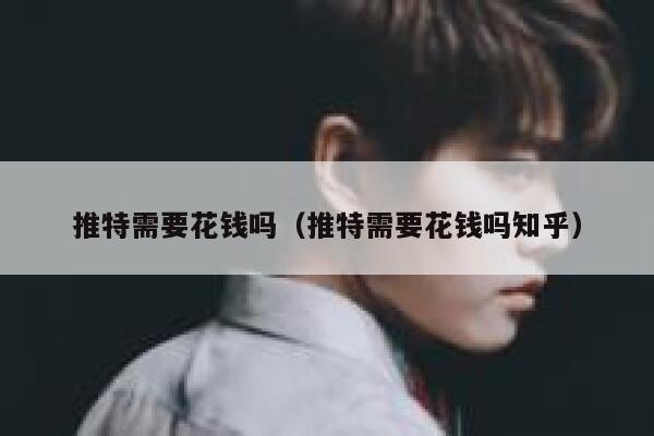 推特需要花钱吗（推特需要花钱吗知乎） 第1张