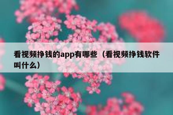 看视频挣钱的app有哪些（看视频挣钱软件叫什么） 第1张