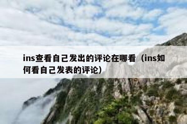 ins查看自己发出的评论在哪看（ins如何看自己发表的评论） 第1张