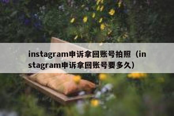 instagram申诉拿回账号拍照（instagram申诉拿回账号要多久） 第1张