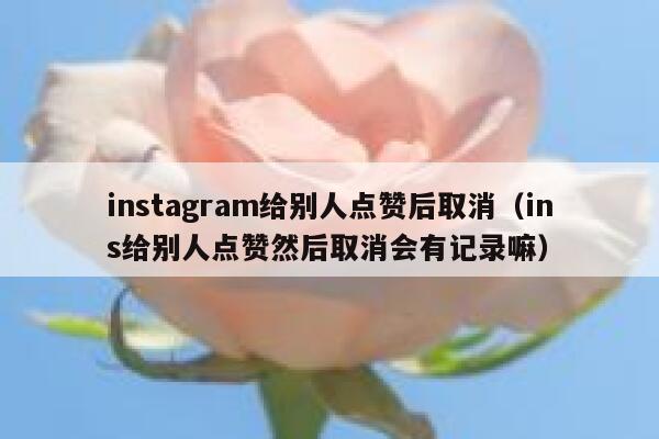 instagram给别人点赞后取消（ins给别人点赞然后取消会有记录嘛） 第1张