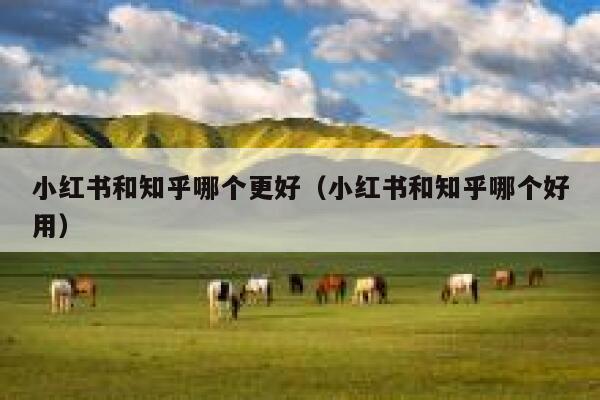 小红书和知乎哪个更好（小红书和知乎哪个好用） 第1张