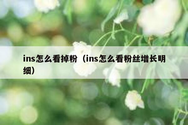 ins怎么看掉粉（ins怎么看粉丝增长明细） 第1张
