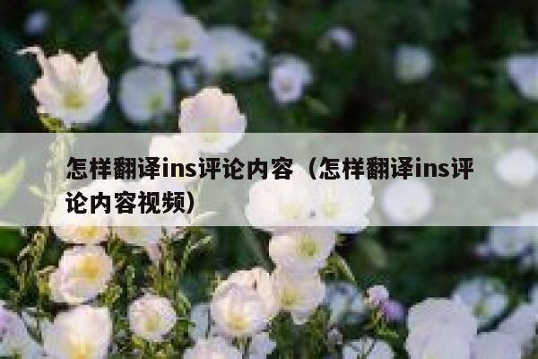 怎样翻译ins评论内容（怎样翻译ins评论内容视频） 第1张