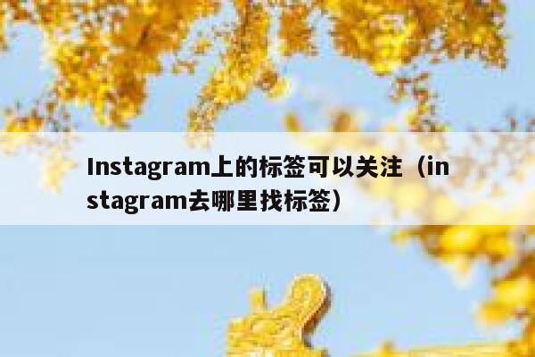 Instagram上的标签可以关注(instagram去哪里找标签) 第1张 Instagram上的标签可以关注(instagram去哪里找标签) 第1张