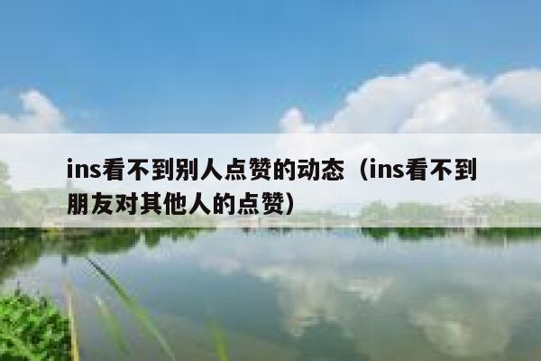 ins看不到别人点赞的动态（ins看不到朋友对其他人的点赞） 第1张