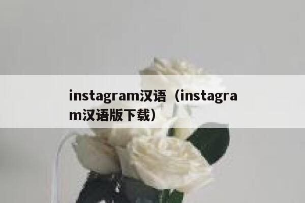 instagram汉语（instagram汉语版下载） 第1张