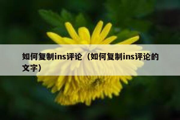 如何复制ins评论(如何复制ins评论的文字) 第1张 如何复制ins评论(如何复制ins评论的文字) 第1张
