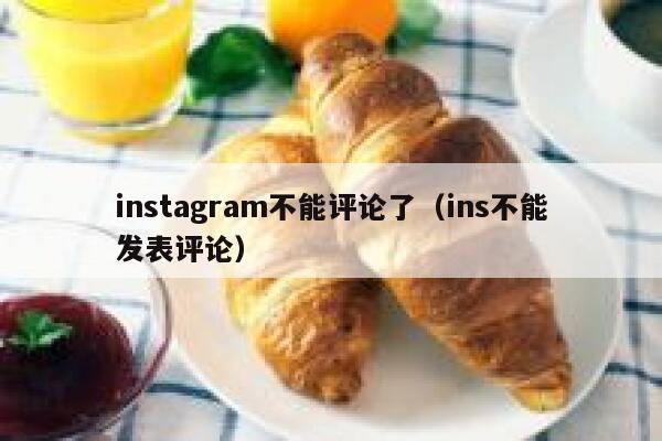 instagram不能评论了（ins不能发表评论） 第1张