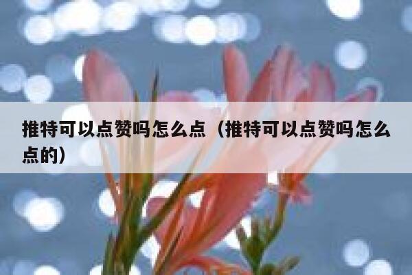 推特可以点赞吗怎么点（推特可以点赞吗怎么点的） 第1张