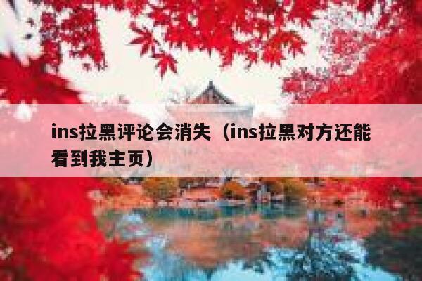 ins拉黑评论会消失(ins拉黑对方还能看到我主页) 第1张 ins拉黑评论会消失(ins拉黑对方还能看到我主页) 第1张