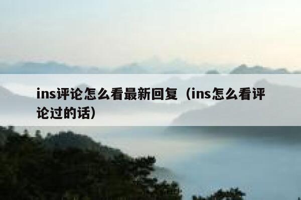 ins评论怎么看最新回复（ins怎么看评论过的话） 第1张