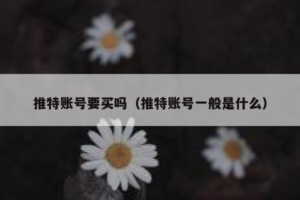 推特账号要买吗(推特账号一般是什么) 第1张 推特账号要买吗(推特账号一般是什么) 第1张