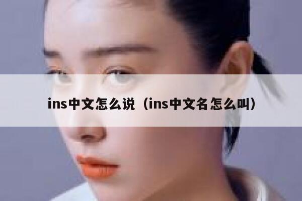 ins中文怎么说（ins中文名怎么叫） 第1张