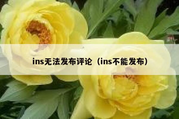 ins无法发布评论（ins不能发布） 第1张