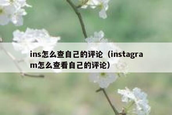 ins怎么查自己的评论（instagram怎么查看自己的评论） 第1张