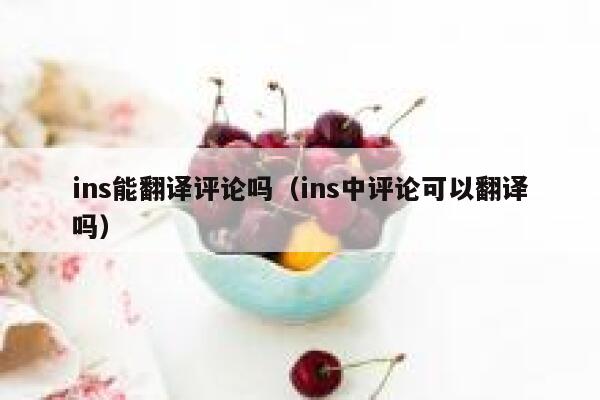 ins能翻译评论吗(ins中评论可以翻译吗) 第1张 ins能翻译评论吗(ins中评论可以翻译吗) 第1张