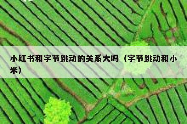 小红书和字节跳动的关系大吗(字节跳动和小米) 第1张 小红书和字节跳动的关系大吗(字节跳动和小米) 第1张