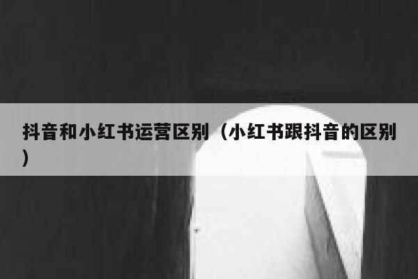 抖音和小红书运营区别（小红书跟抖音的区别） 第1张