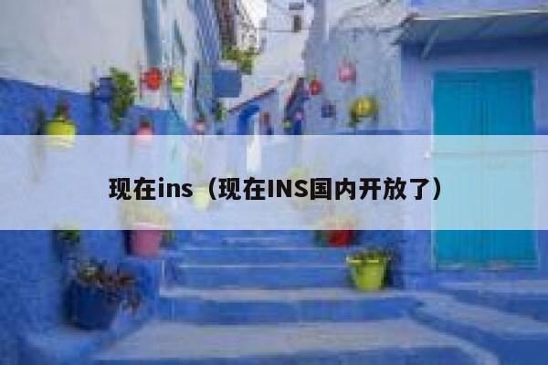 现在ins（现在INS国内开放了） 第1张