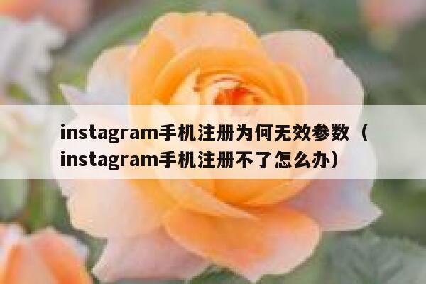instagram手机注册为何无效参数（instagram手机注册不了怎么办） 第1张