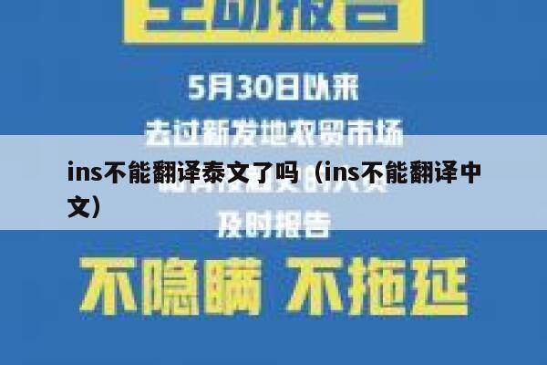 ins不能翻译泰文了吗（ins不能翻译中文） 第1张