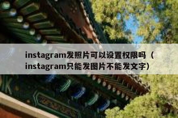 instagram发照片可以设置权限吗（instagram只能发图片不能发文字） 第1张