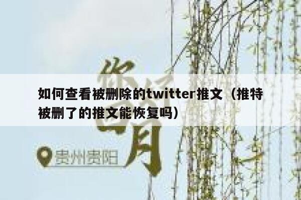 如何查看被删除的twitter推文（推特被删了的推文能恢复吗） 第1张