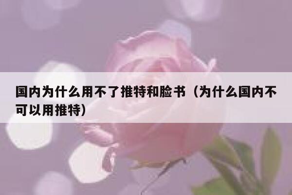 国内为什么用不了推特和脸书（为什么国内不可以用推特） 第1张