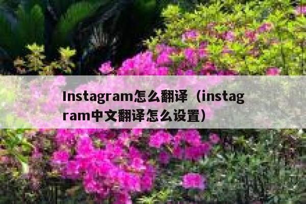 Instagram怎么翻译(instagram中文翻译怎么设置) 第1张 Instagram怎么翻译(instagram中文翻译怎么设置) 第1张