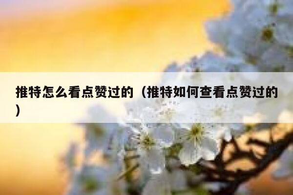 推特怎么看点赞过的（推特如何查看点赞过的） 第1张