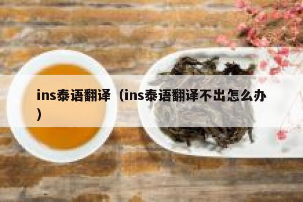 ins泰语翻译（ins泰语翻译不出怎么办） 第1张