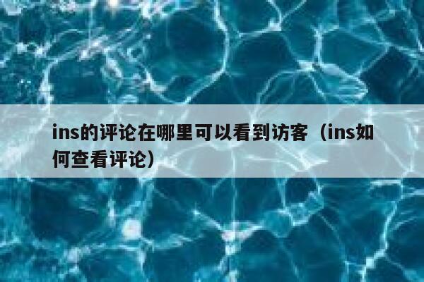 ins的评论在哪里可以看到访客(ins如何查看评论) 第1张 ins的评论在哪里可以看到访客(ins如何查看评论) 第1张