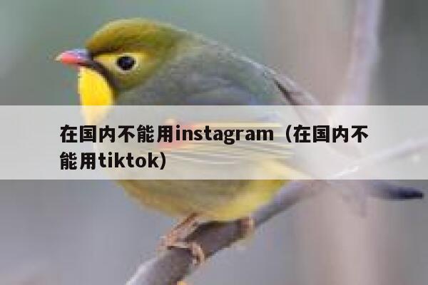 在国内不能用instagram（在国内不能用tiktok） 第1张