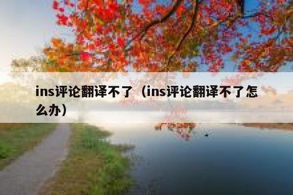 ins评论翻译不了(ins评论翻译不了怎么办) 第1张 ins评论翻译不了(ins评论翻译不了怎么办) 第1张