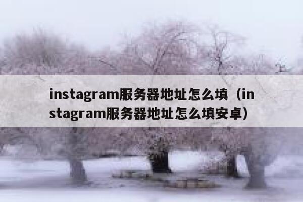 instagram服务器地址怎么填（instagram服务器地址怎么填安卓） 第1张
