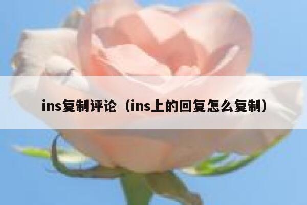 ins复制评论（ins上的回复怎么复制） 第1张