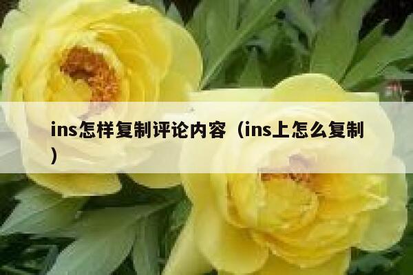 ins怎样复制评论内容(ins上怎么复制) 第1张 ins怎样复制评论内容(ins上怎么复制) 第1张
