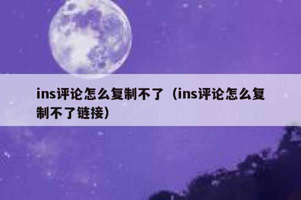ins评论怎么复制不了（ins评论怎么复制不了链接） 第1张