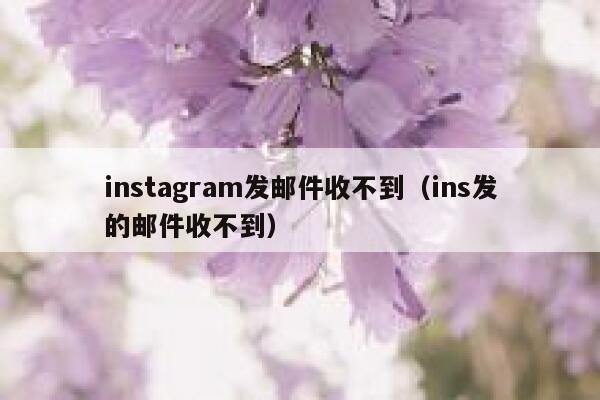 instagram发邮件收不到（ins发的邮件收不到） 第1张