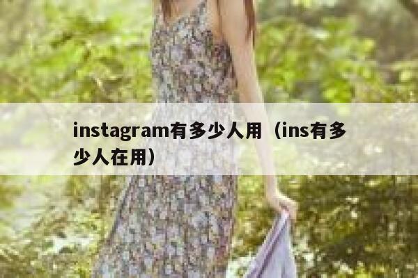 instagram有多少人用（ins有多少人在用） 第1张
