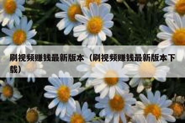 刷视频赚钱最新版本（刷视频赚钱最新版本下载） 第1张
