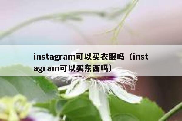 instagram可以买衣服吗（instagram可以买东西吗） 第1张