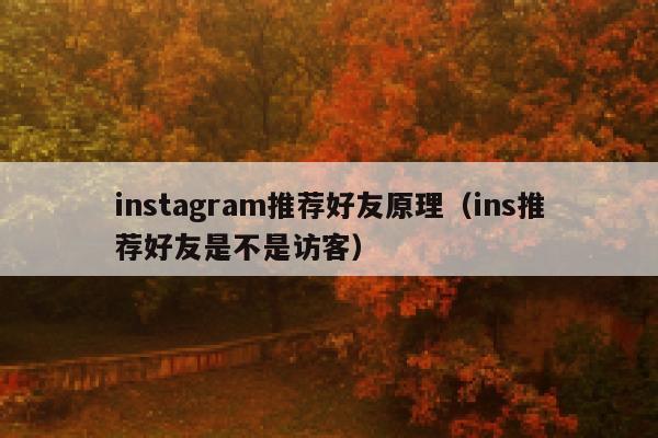 instagram推荐好友原理（ins推荐好友是不是访客） 第1张