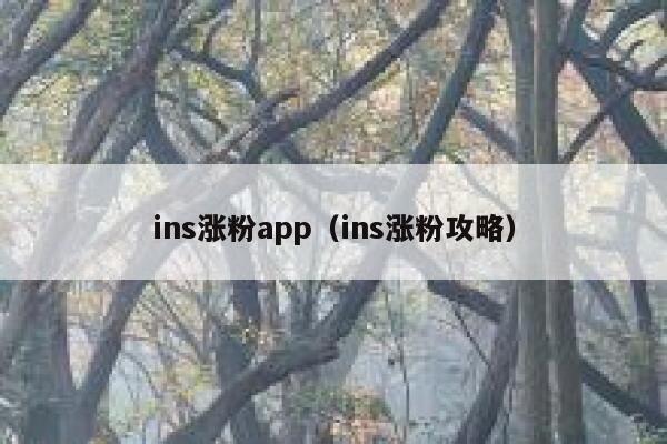 ins涨粉app（ins涨粉攻略） 第1张