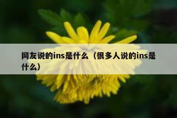 网友说的ins是什么（很多人说的ins是什么） 第1张