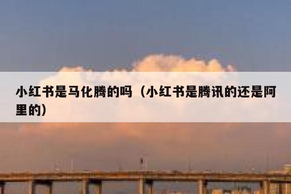 小红书是马化腾的吗（小红书是腾讯的还是阿里的） 第1张