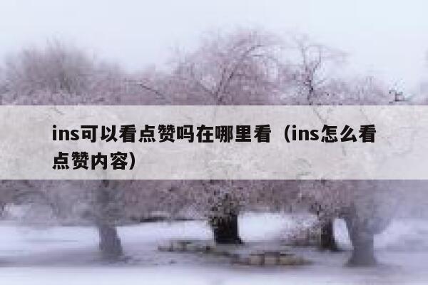 ins可以看点赞吗在哪里看（ins怎么看点赞内容） 第1张