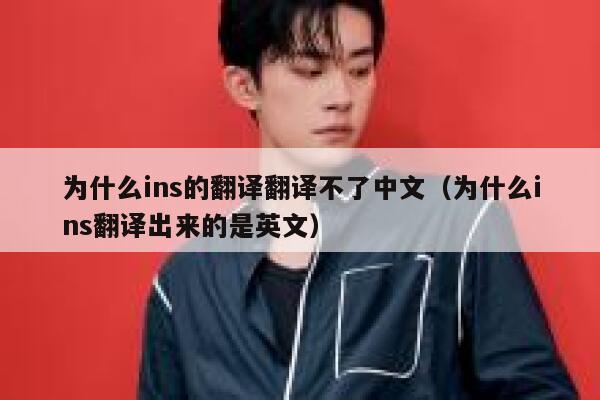 为什么ins的翻译翻译不了中文（为什么ins翻译出来的是英文） 第1张